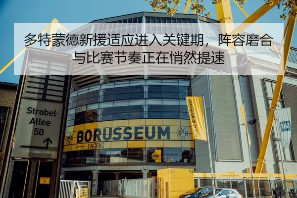 多特蒙德新援适应进入关键期，阵容磨合与比赛节奏正在悄然提速